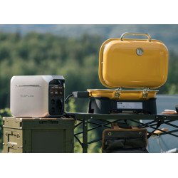 EcoFlow DELTA 3 Plus Tragbare Powerstation, 1024 Wh LiFePO4 Akku, 1800W AC-Ausgang, 1000W Solar-Eingang, IP65